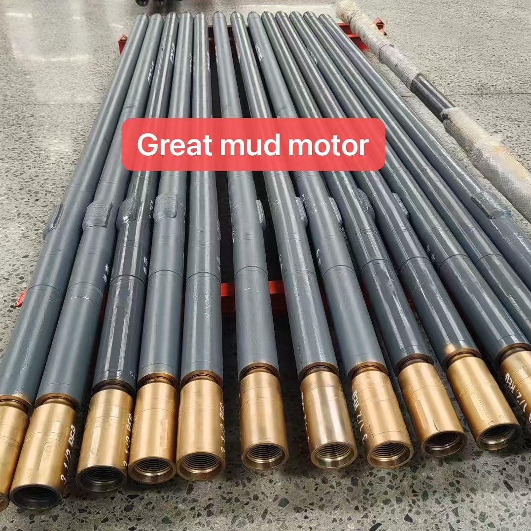Downhole Motor